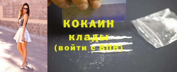 стаф Пересвет