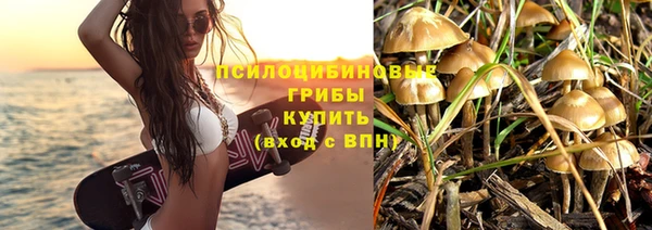 прущий лед Пестово