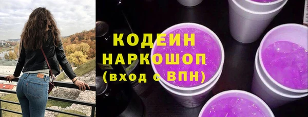прущий лед Пестово