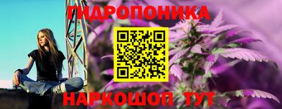 трава Кандалакша