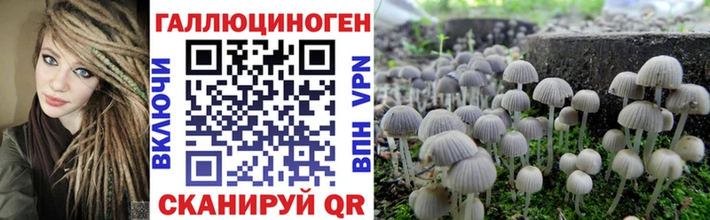 Галлюциногенные грибы Psilocybine cubensis  kraken зеркало  Биробиджан 