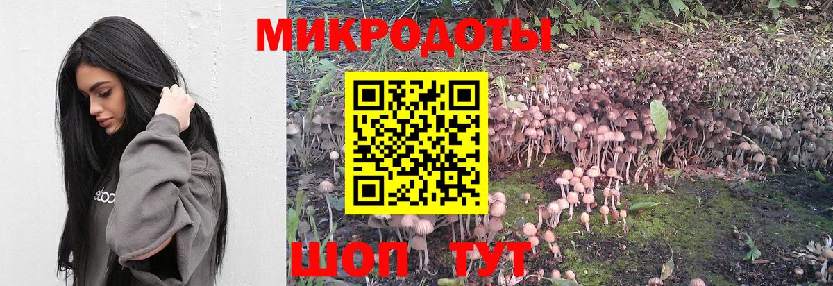 Галлюциногенные грибы MAGIC MUSHROOMS  Вход с VPN  закладка  Биробиджан 