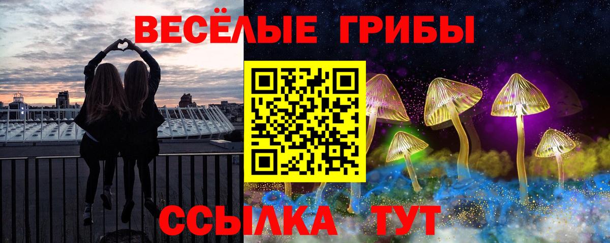 Псилоцибиновые грибы ЛСД Биробиджан